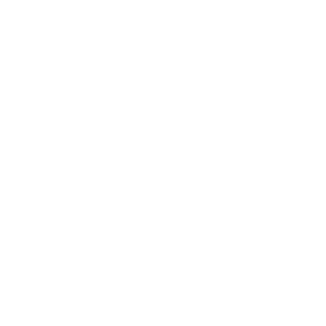 Lupa
