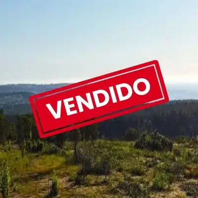 Brisas de Maitencillo